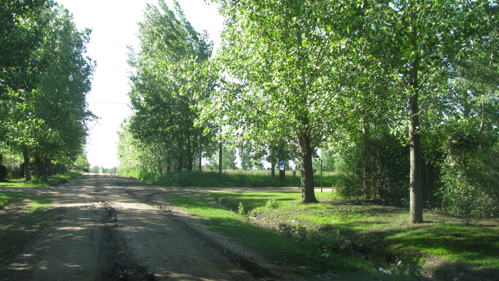 Lote en venta (sector quintas residenciales) 