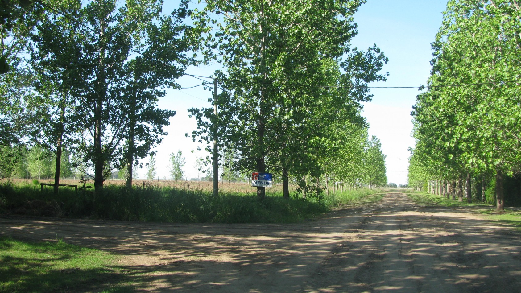 Lote en venta (sector quintas residenciales) 