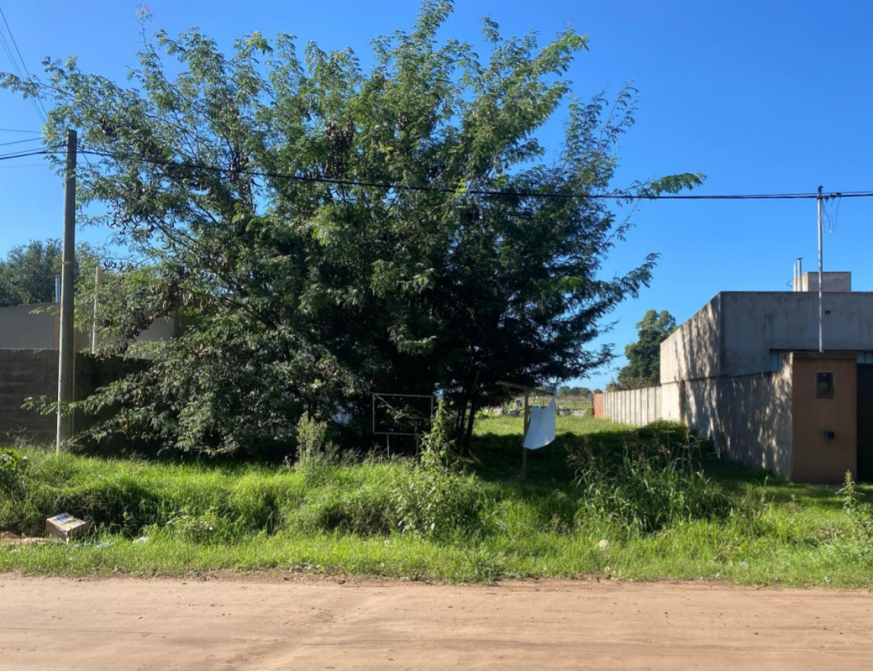 TERRENO EN ZONA DE CRECIMIENTO