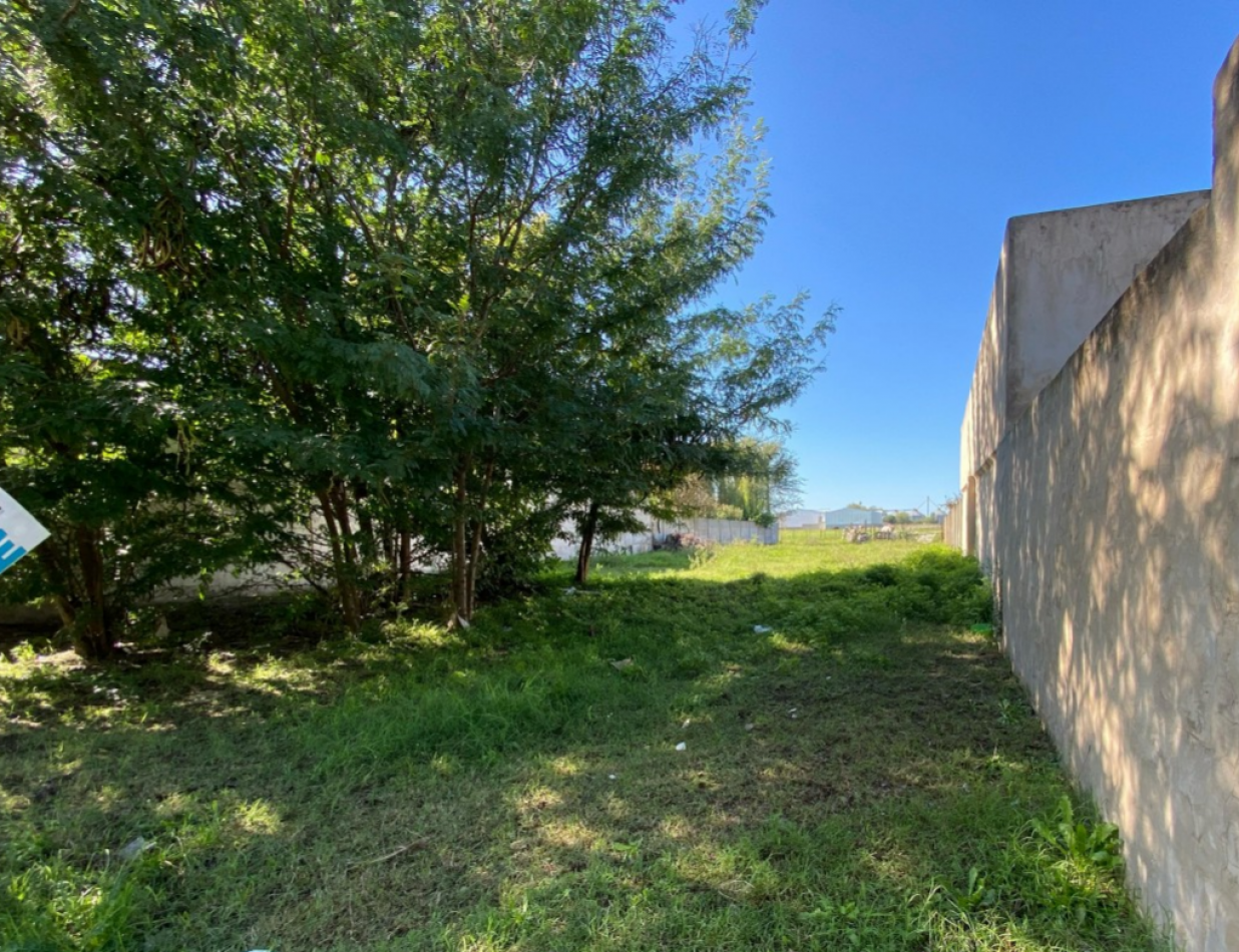 TERRENO EN ZONA DE CRECIMIENTO