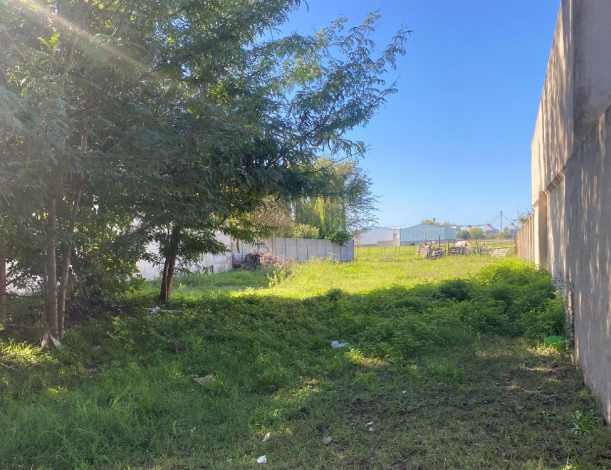 TERRENO EN ZONA DE CRECIMIENTO