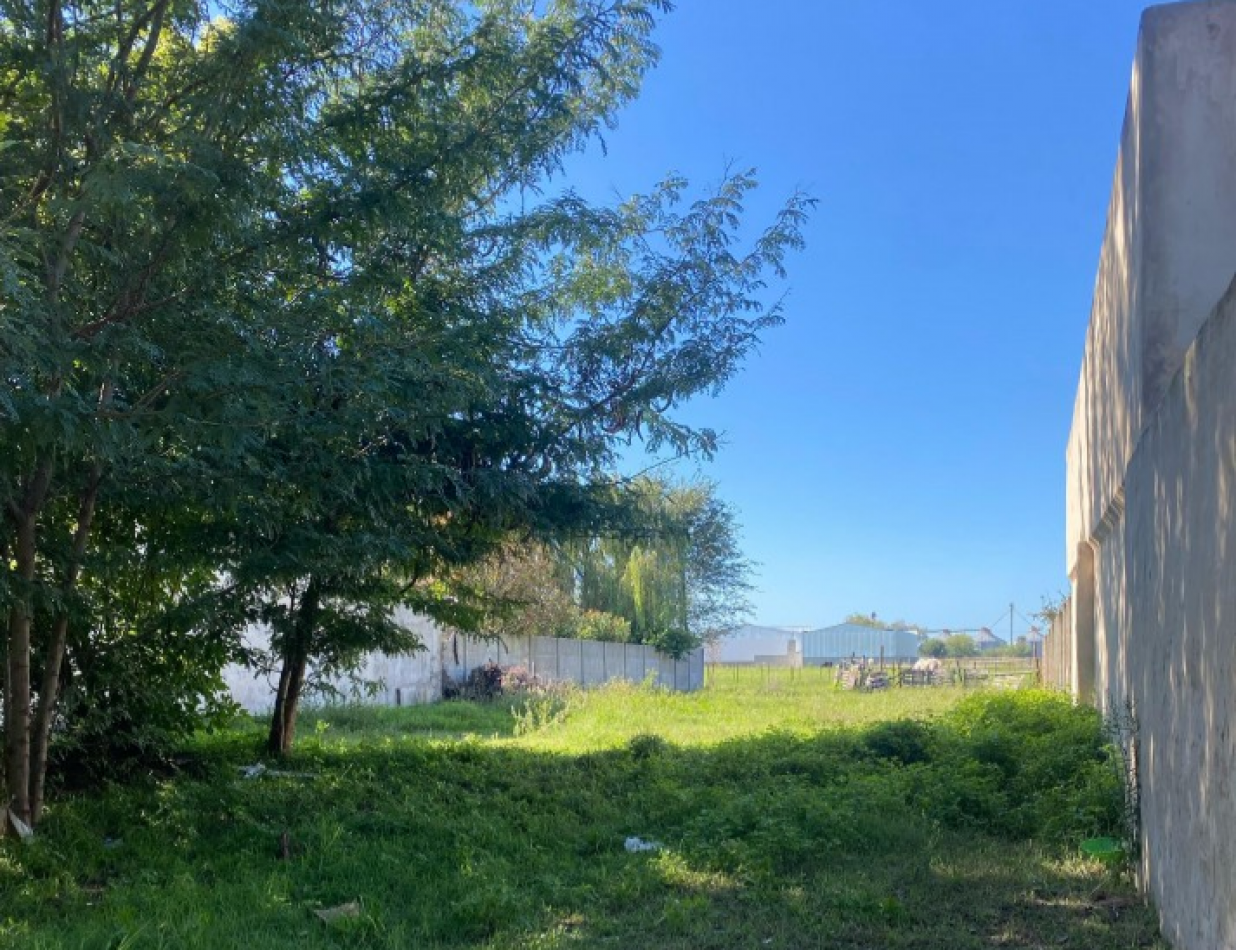 TERRENO EN ZONA DE CRECIMIENTO