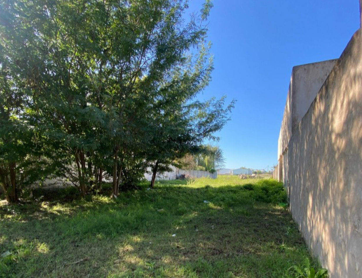 TERRENO EN ZONA DE CRECIMIENTO