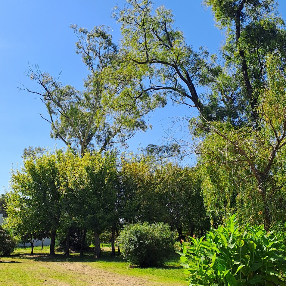 EXCEPCIONAL CASA QUINTA EN VENTA