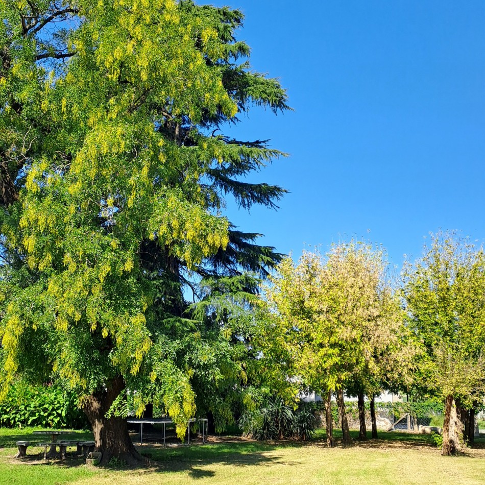 EXCEPCIONAL CASA QUINTA EN VENTA