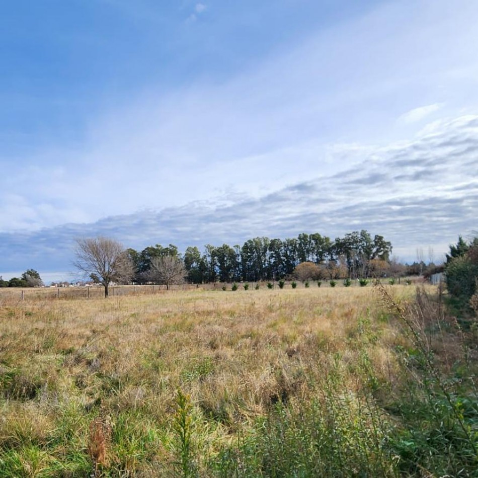 LOTE A 300 METROS DE ACCESO PRINCIPAL