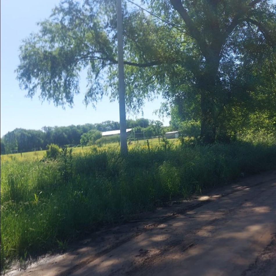 TERRENO EN VENTA - ZONA COLEGIO LOS CEIBOS