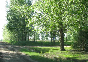 Lote en venta (sector quintas residenciales) 