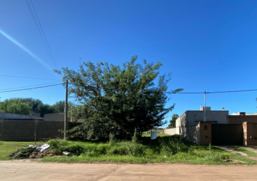 TERRENO EN ZONA DE CRECIMIENTO