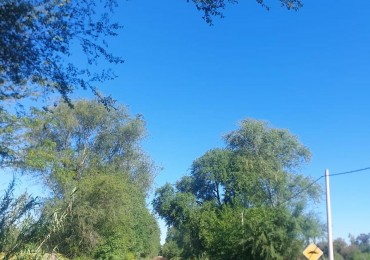 TERRENO EN VENTA - ZONA COLEGIO LOS CEIBOS